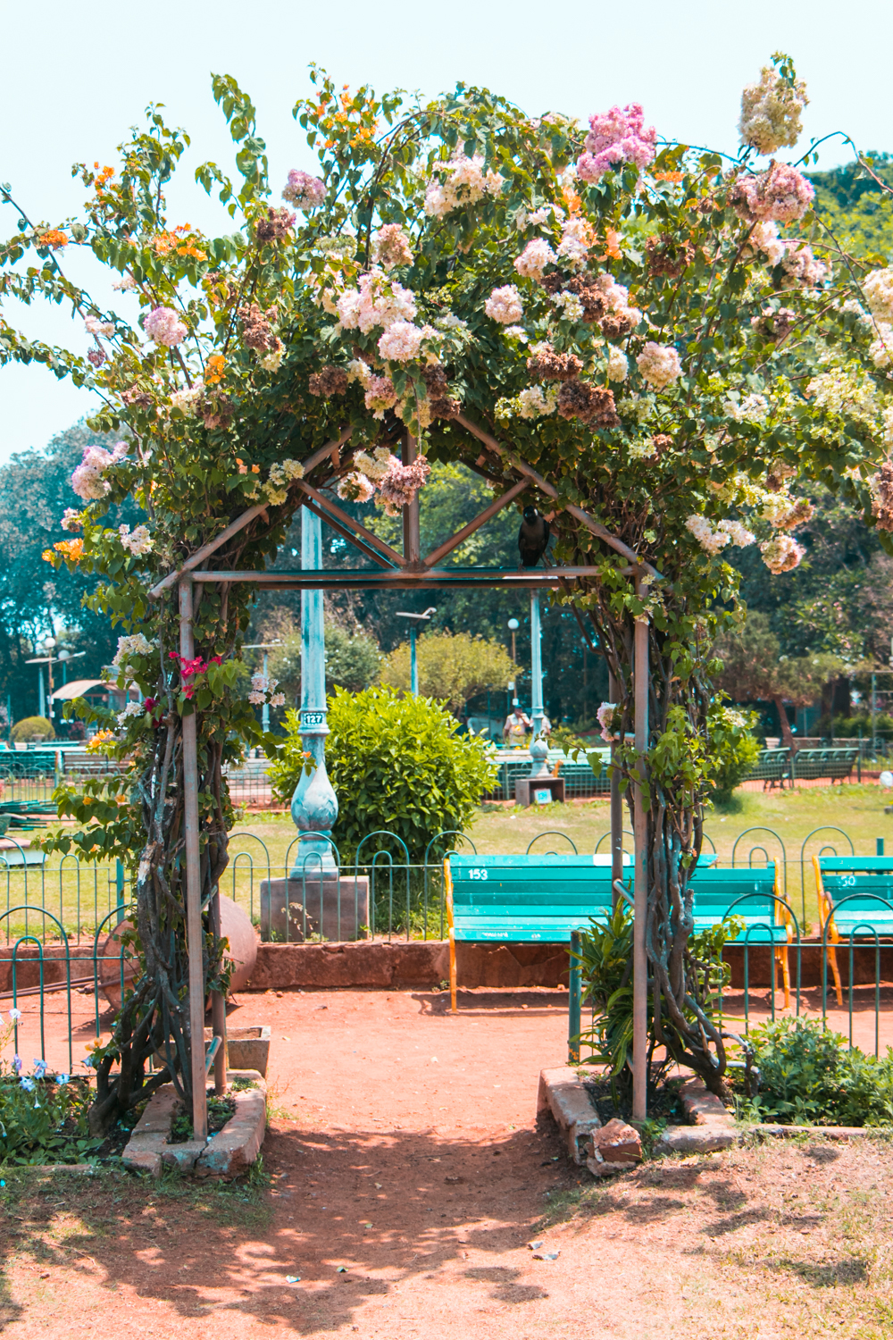 Jardines-Hanging